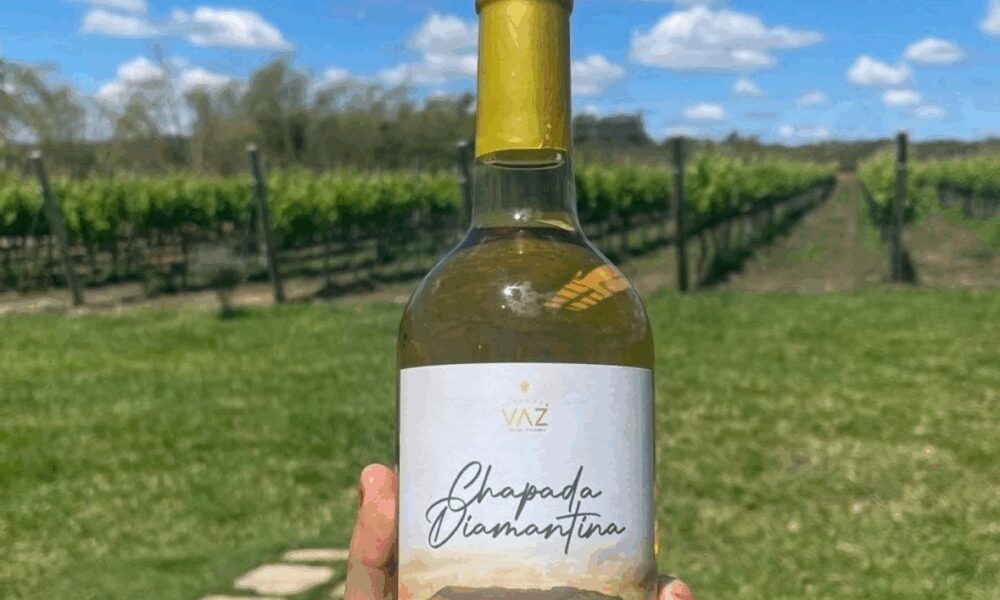 Vinícolas na Chapada Diamantina ao pôr do sol